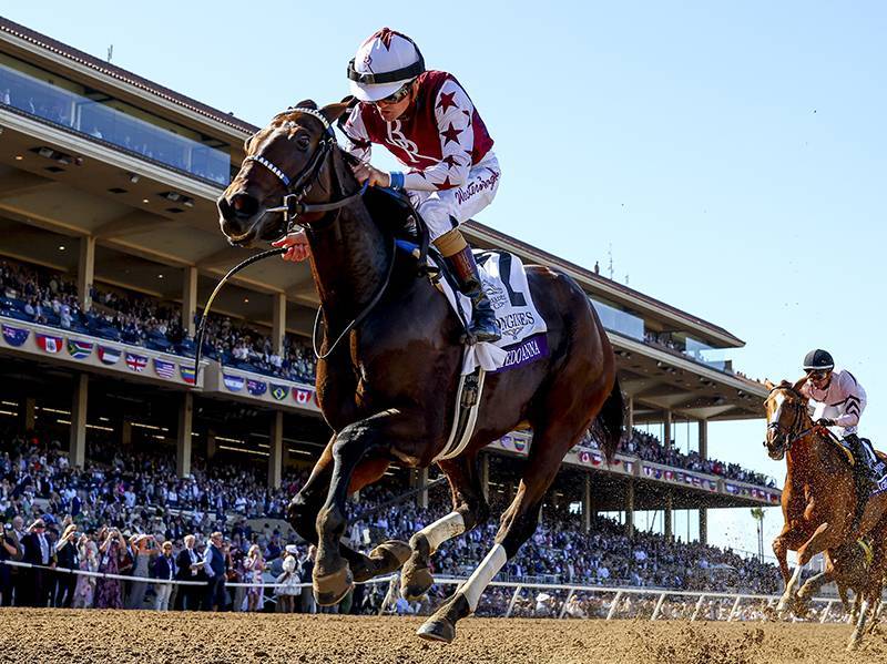 Thorpedo Anna captures Breeders’ Cup Distaff Kentucky Thoroughbred